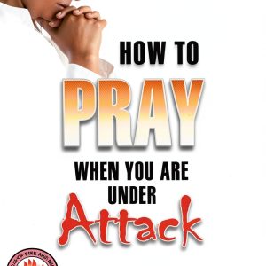 Mountain of Fire & Miracles Spiritual Warfare Prayer Kindle eBook-0